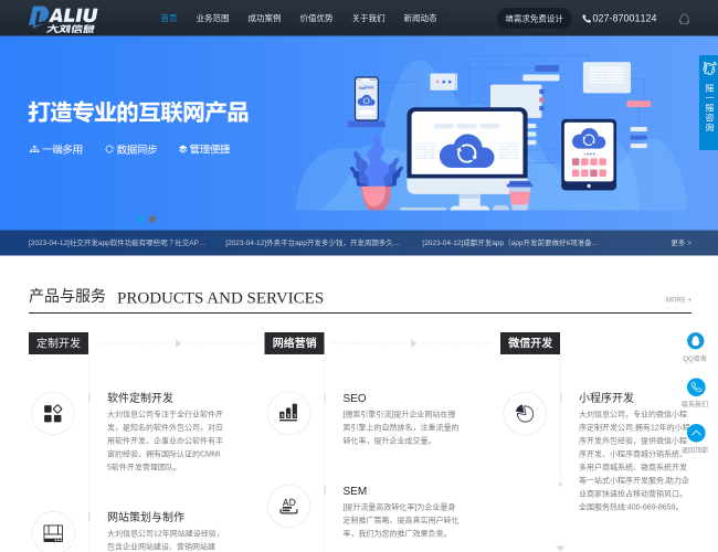 大劉信息軟件開發